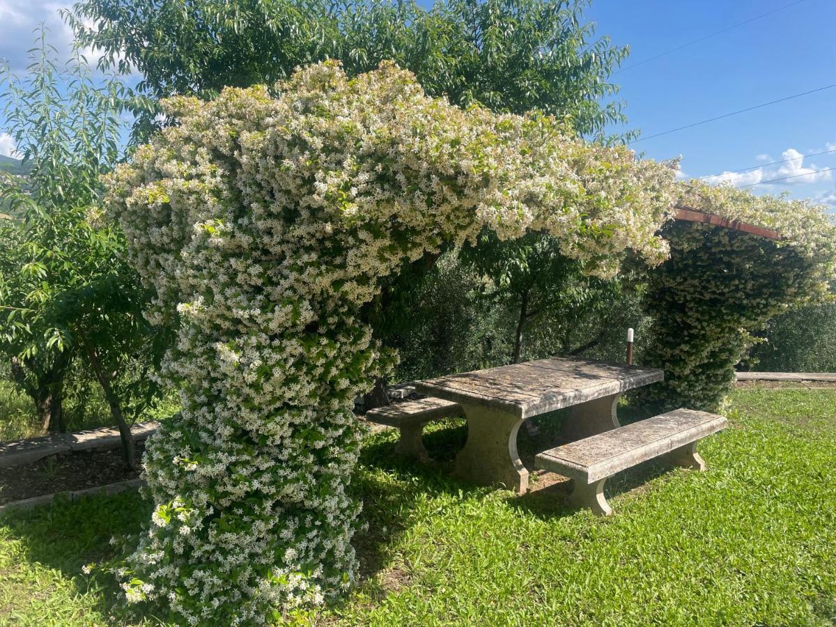 Holiday home La Palombara